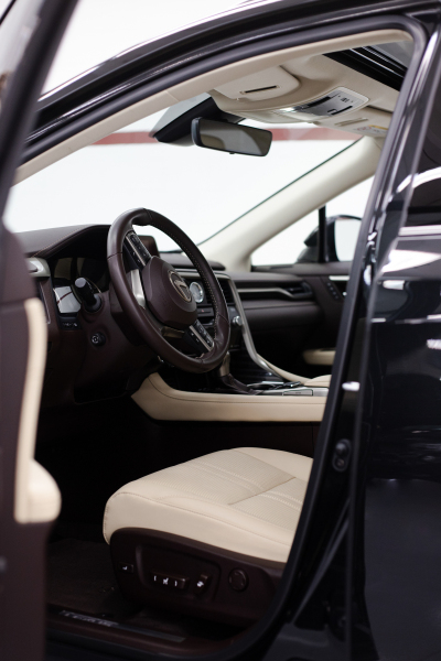 Lexus RX450 Detailing Interni